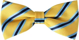 Bow Ties for Men Pre-Tied Adjustable Bow Tie Paisley Bowties for Men Boys