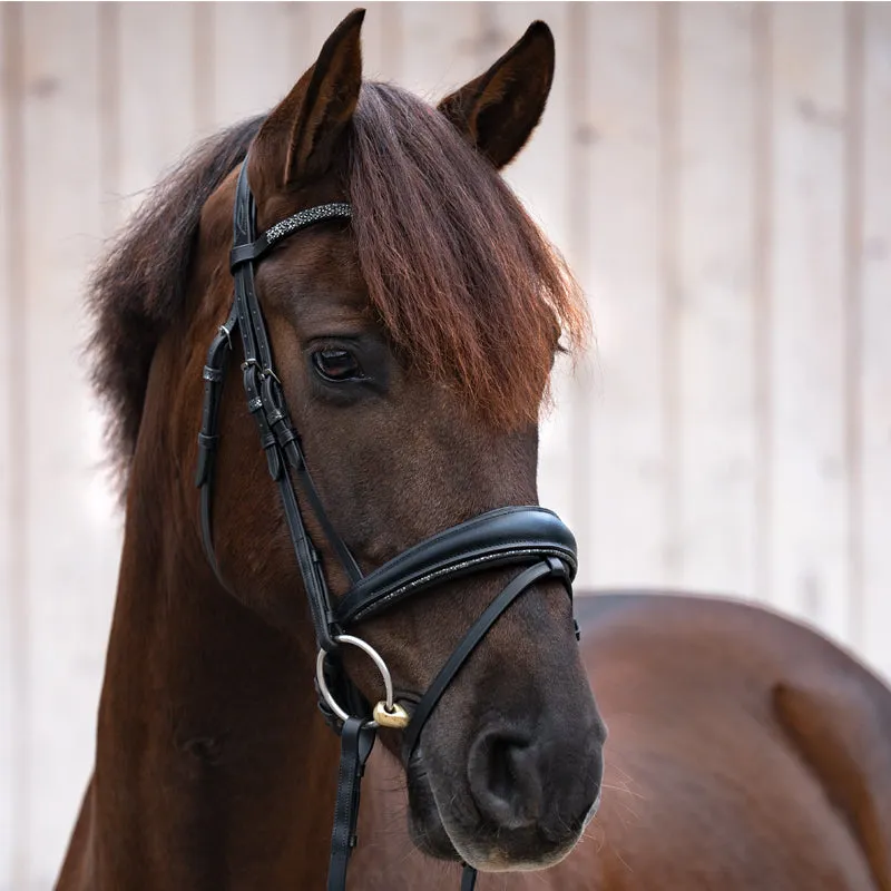 Crank Noseband Dressage Bridle Victoria