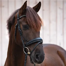 Crank Noseband Dressage Bridle Victoria