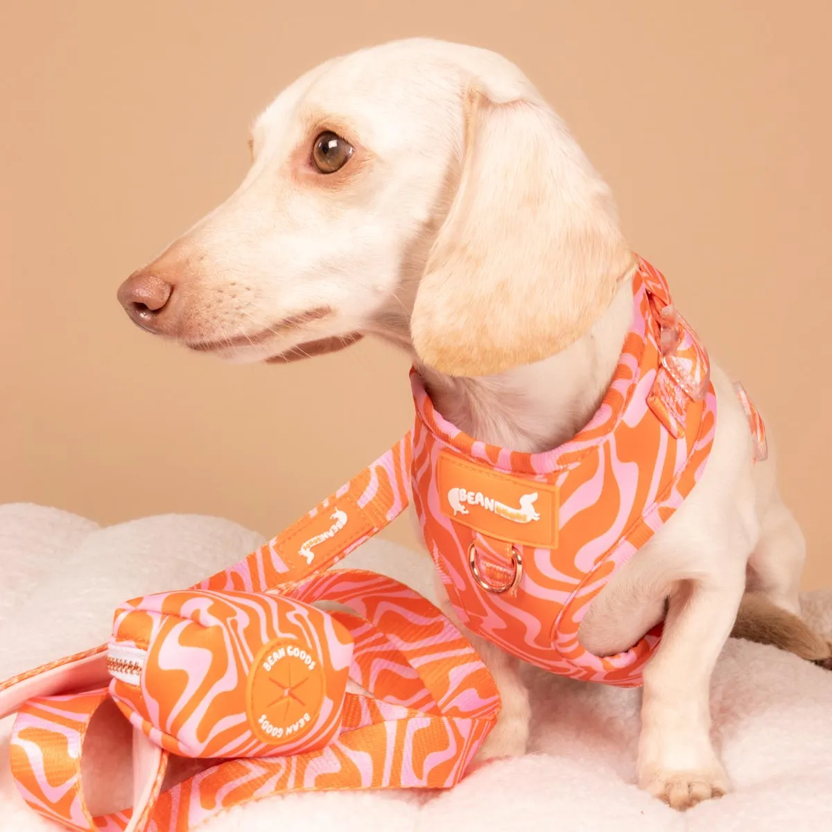 poop bag pouch - retro swirl